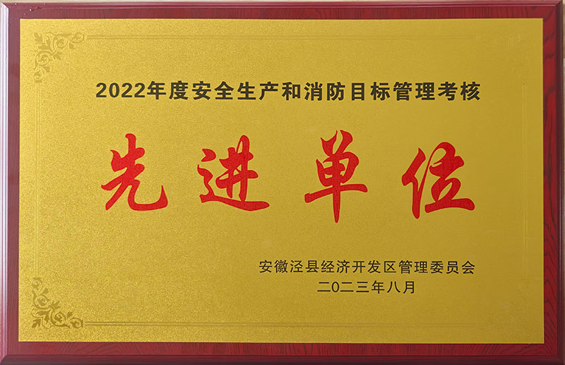 2022年度安全生產(chǎn)和消防目標(biāo)管理考核先進單位